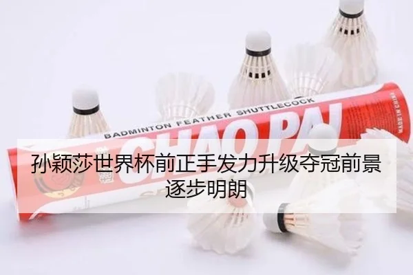 孙颖莎世界杯前正手发力升级夺冠前景逐步明朗