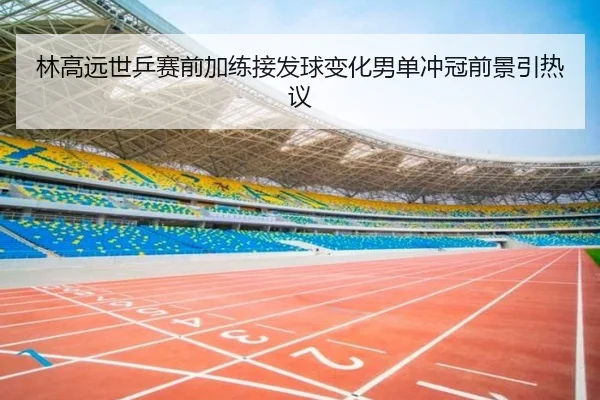 林高远世乒赛前加练接发球变化男单冲冠前景引热议