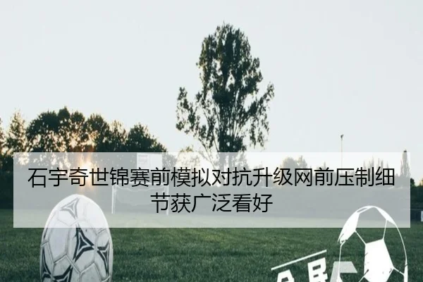 石宇奇世锦赛前模拟对抗升级网前压制细节获广泛看好